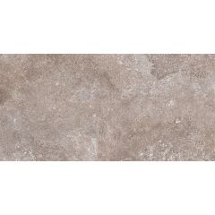 TILE EARTH BROWN 60X120