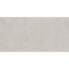 TILE PORTLAND SILVER M MATTE 60X120 R11