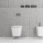 SET WALL HUNG TOILET (INSIDE)COVER LT 003E-R RIMLESS