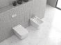 SET WALL HUNG TOILET (INSIDE)COVER LT 003E-R RIMLESS