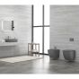 SET WALL HUNG TOILET COVER (INSIDE) LT 046E-NRMDG GREY MATT RIM. MILOS