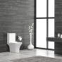 TOILET L.P. 1215A VERTICAL RIMLESS NATALIA S-TRAP