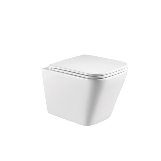 WALL HUNG TOILET SEAT COVER(INSIDE) LT 052E-R RIMLESS